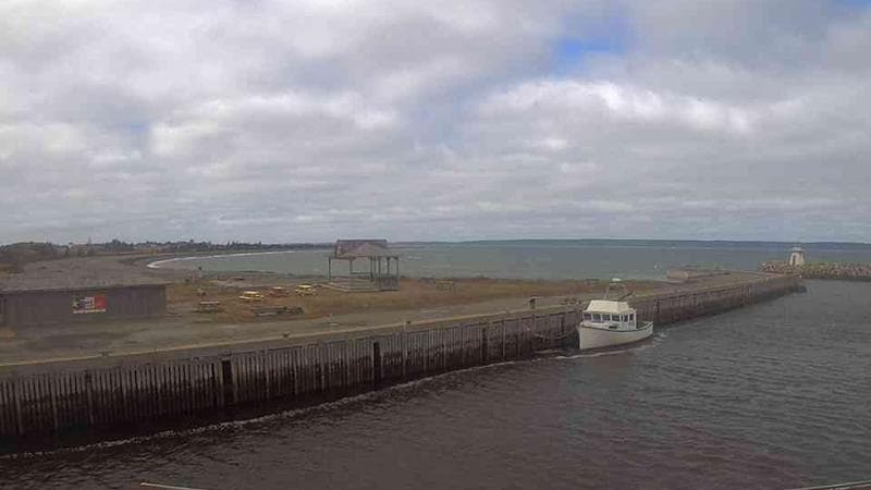 Belliveau Cove Harbour