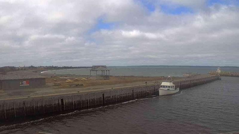 Belliveau Cove Harbour