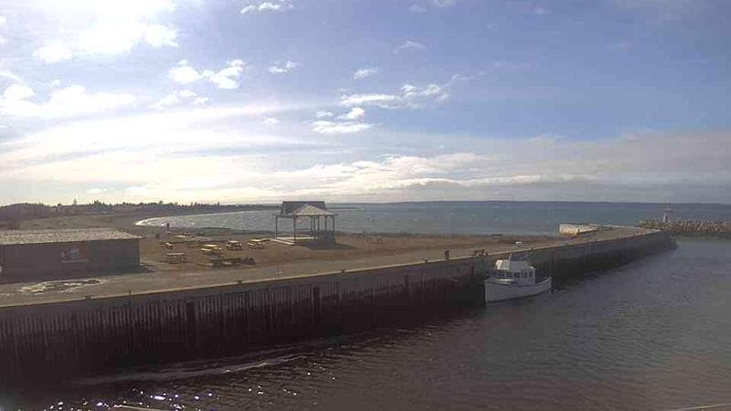 Belliveau Cove Harbour