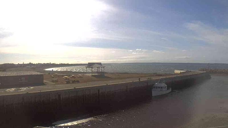 Belliveau Cove Harbour