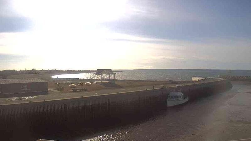 Belliveau Cove Harbour