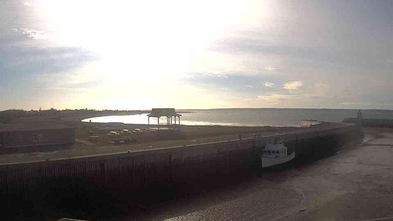 Belliveau Cove Harbour