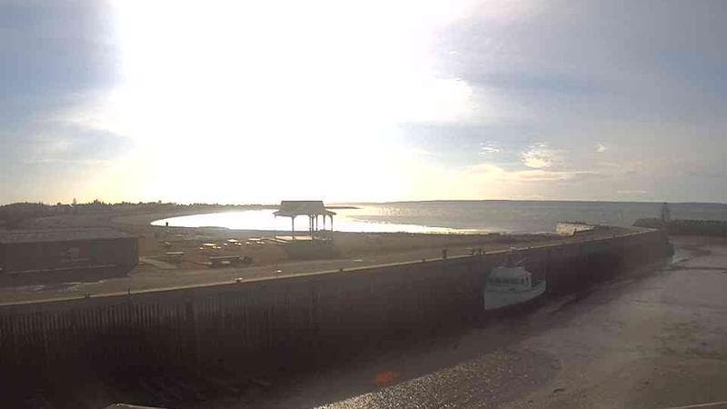 Belliveau Cove Harbour