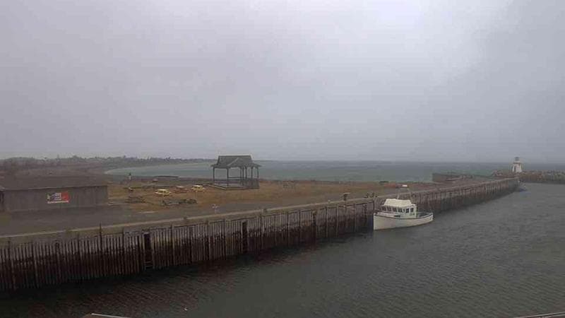 Belliveau Cove Harbour