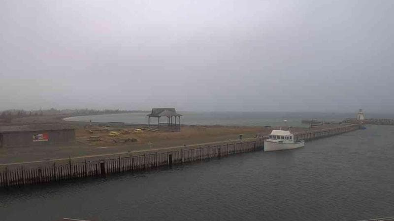 Belliveau Cove Harbour