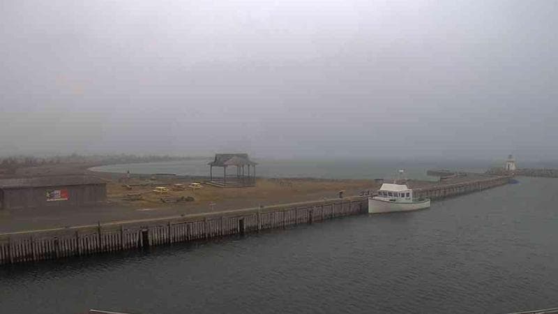 Belliveau Cove Harbour