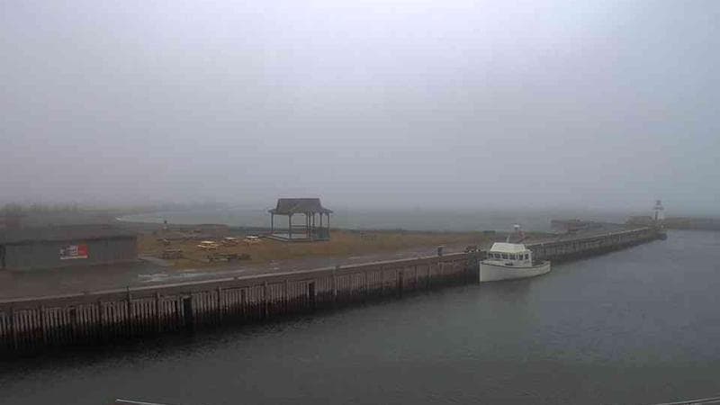 Belliveau Cove Harbour