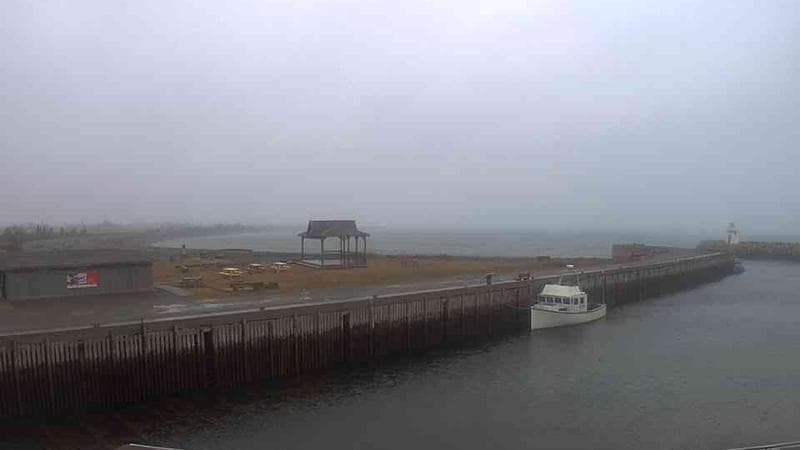 Belliveau Cove Harbour