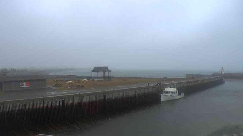 Belliveau Cove Harbour