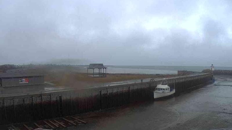 Belliveau Cove Harbour