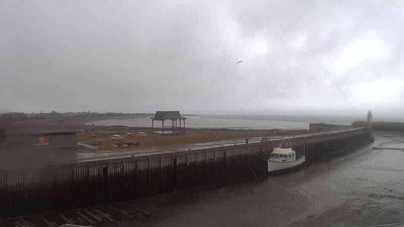 Belliveau Cove Harbour