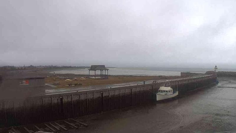 Belliveau Cove Harbour