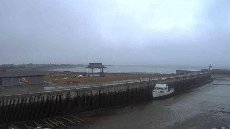 Belliveau Cove Harbour