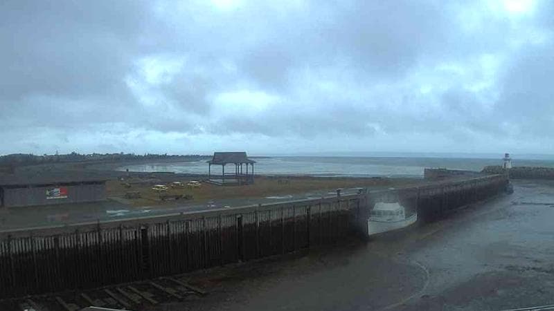 Belliveau Cove Harbour