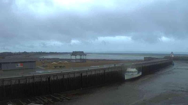Belliveau Cove Harbour