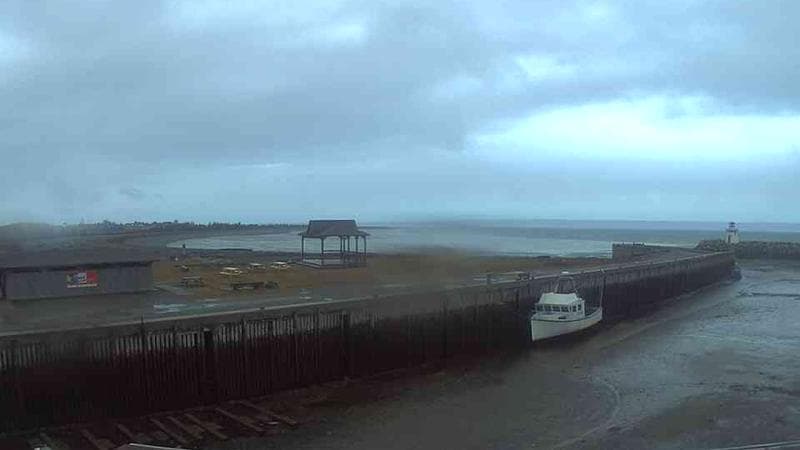 Belliveau Cove Harbour