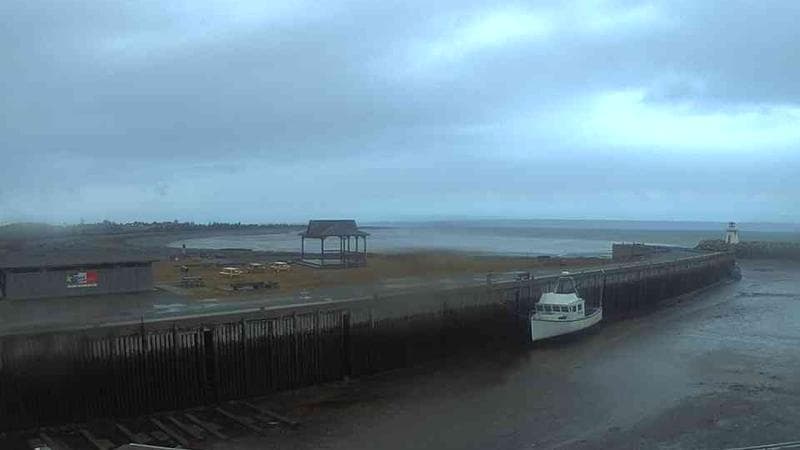 Belliveau Cove Harbour