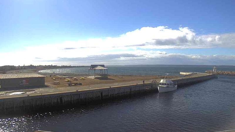 Belliveau Cove Harbour