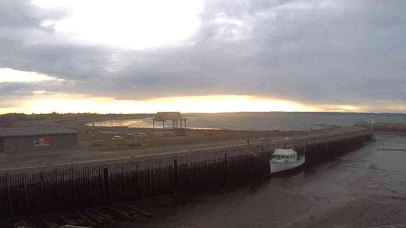 Belliveau Cove Harbour