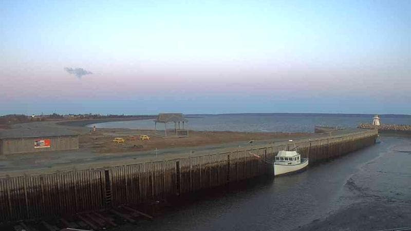 Belliveau Cove Harbour
