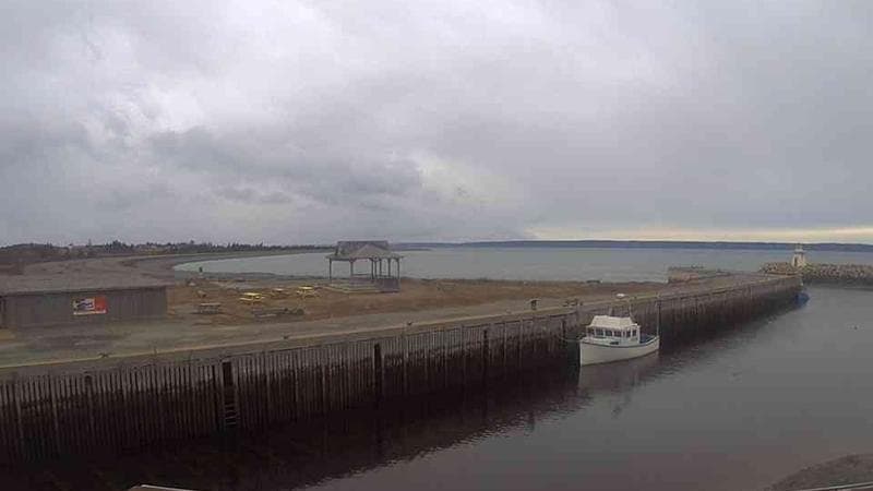 Belliveau Cove Harbour