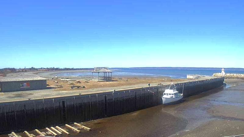Belliveau Cove Harbour