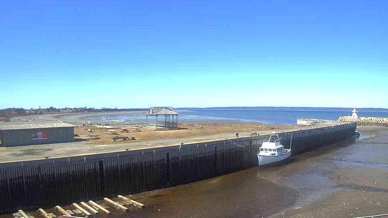 Belliveau Cove Harbour