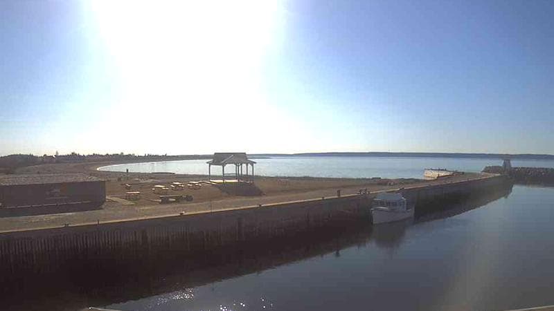 Belliveau Cove Harbour