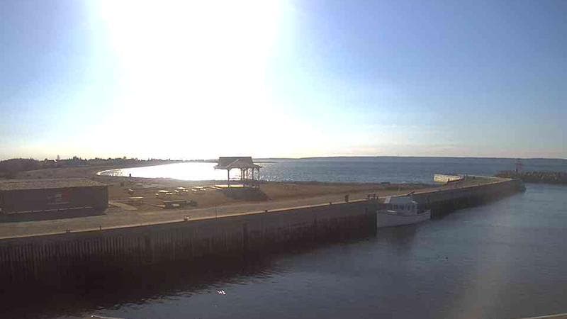 Belliveau Cove Harbour