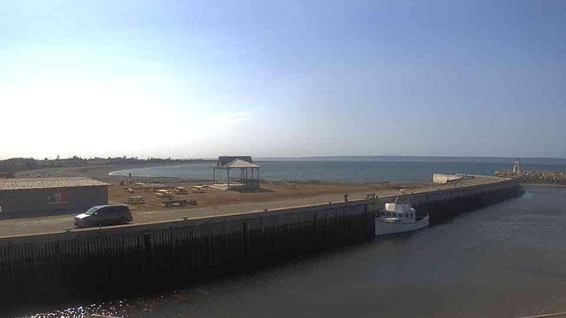 Belliveau Cove Harbour