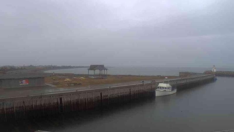 Belliveau Cove Harbour