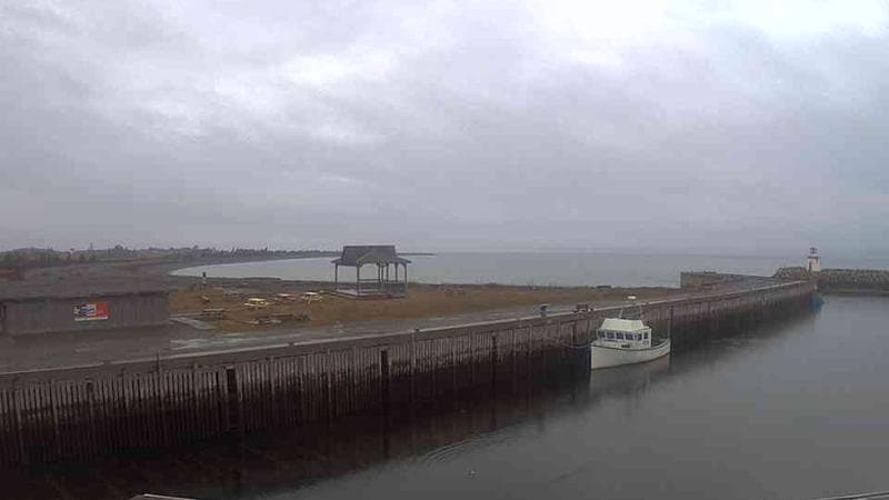 Belliveau Cove Harbour