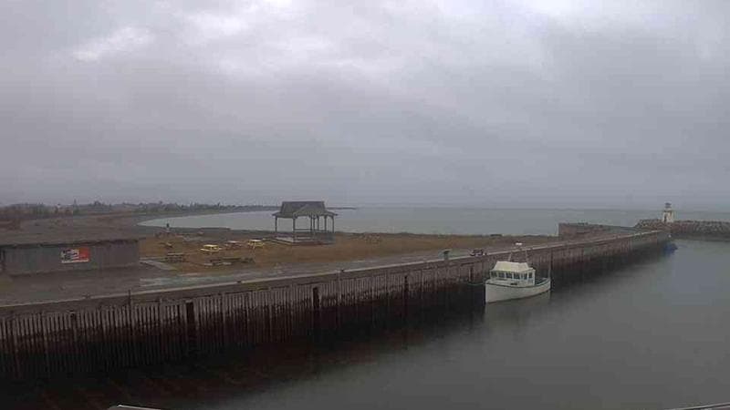 Belliveau Cove Harbour