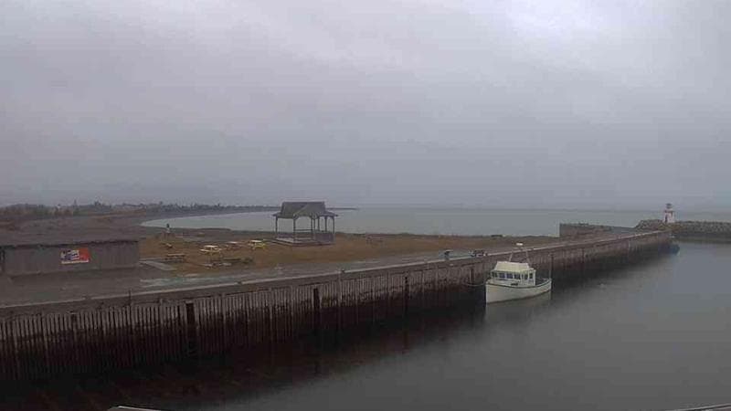 Belliveau Cove Harbour