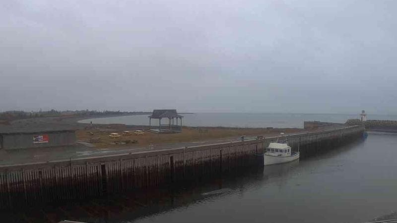Belliveau Cove Harbour