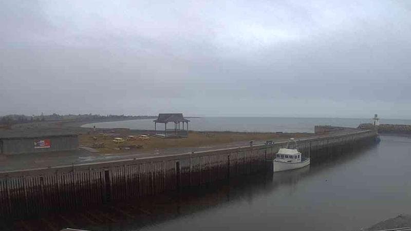 Belliveau Cove Harbour