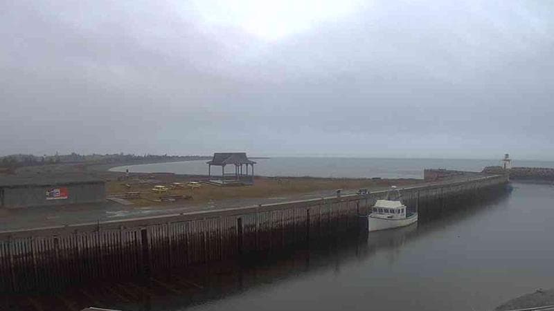 Belliveau Cove Harbour