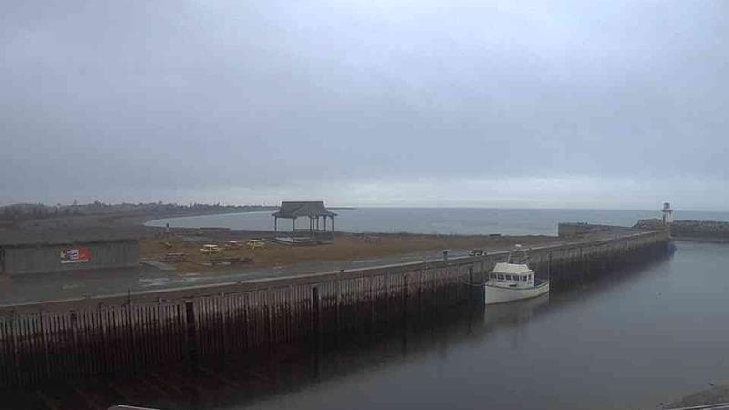 Belliveau Cove Harbour