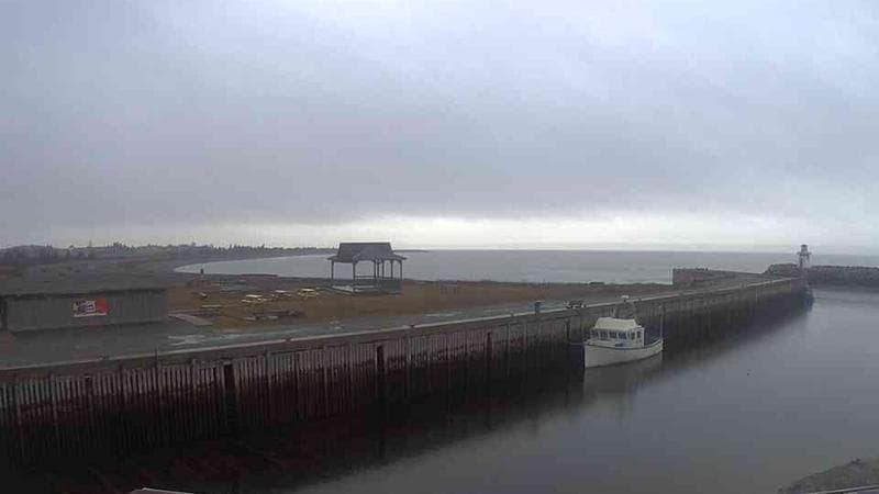 Belliveau Cove Harbour
