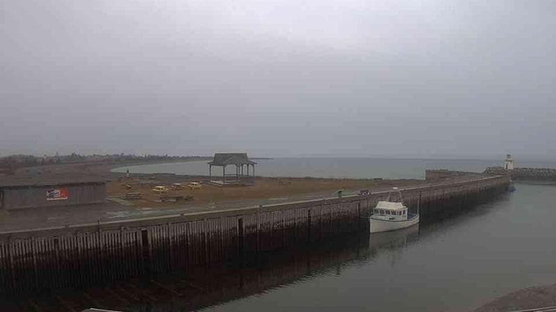 Belliveau Cove Harbour