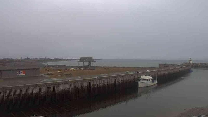 Belliveau Cove Harbour