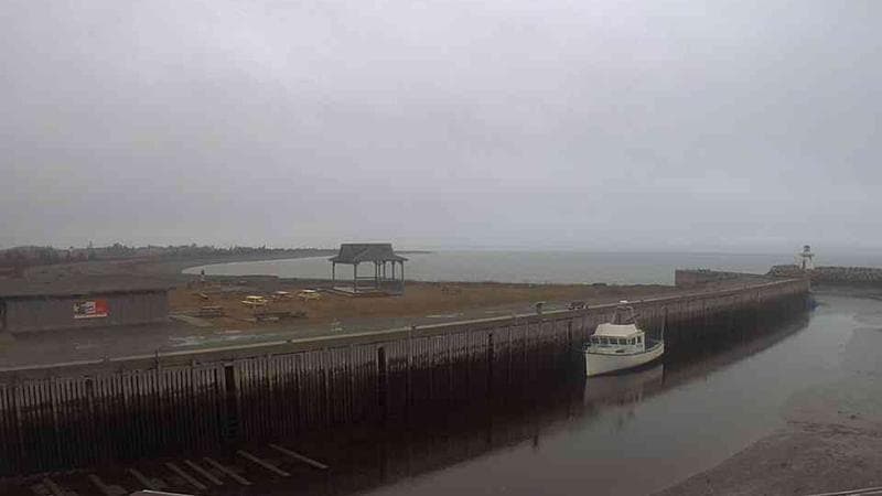 Belliveau Cove Harbour