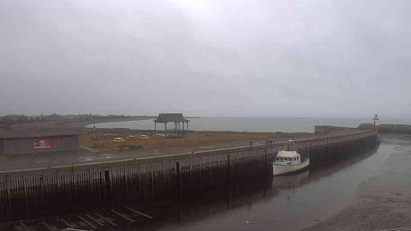 Belliveau Cove Harbour