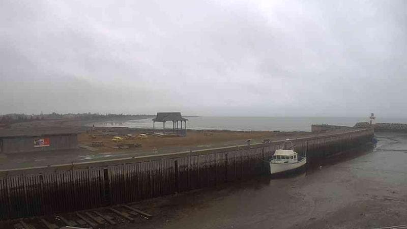 Belliveau Cove Harbour