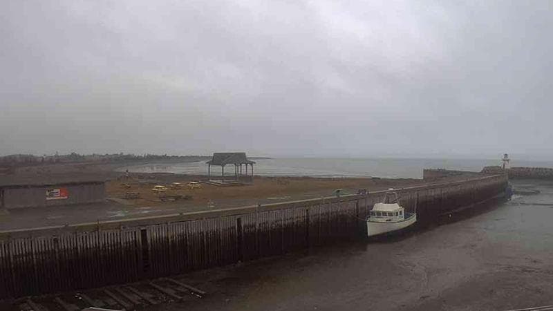 Belliveau Cove Harbour