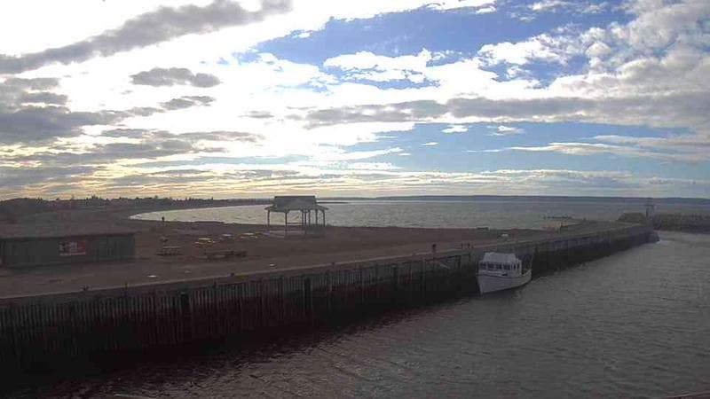 Belliveau Cove Harbour