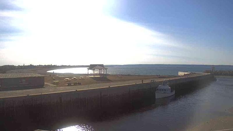 Belliveau Cove Harbour