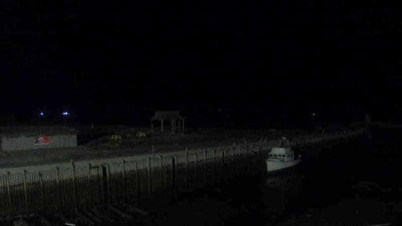 Belliveau Cove Harbour