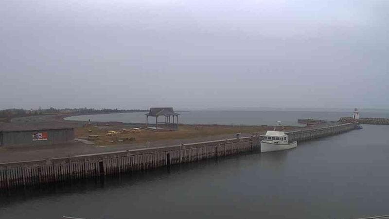 Belliveau Cove Harbour