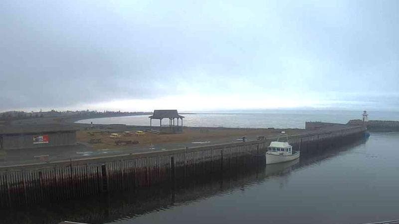 Belliveau Cove Harbour